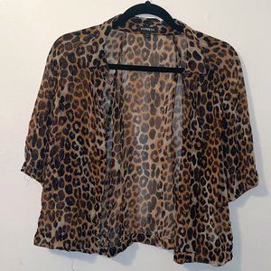 Express Sheer Leopard Crop Top, Large